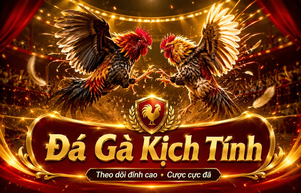Hỏi đáp thực tế về Bắn cá dành cho người mới